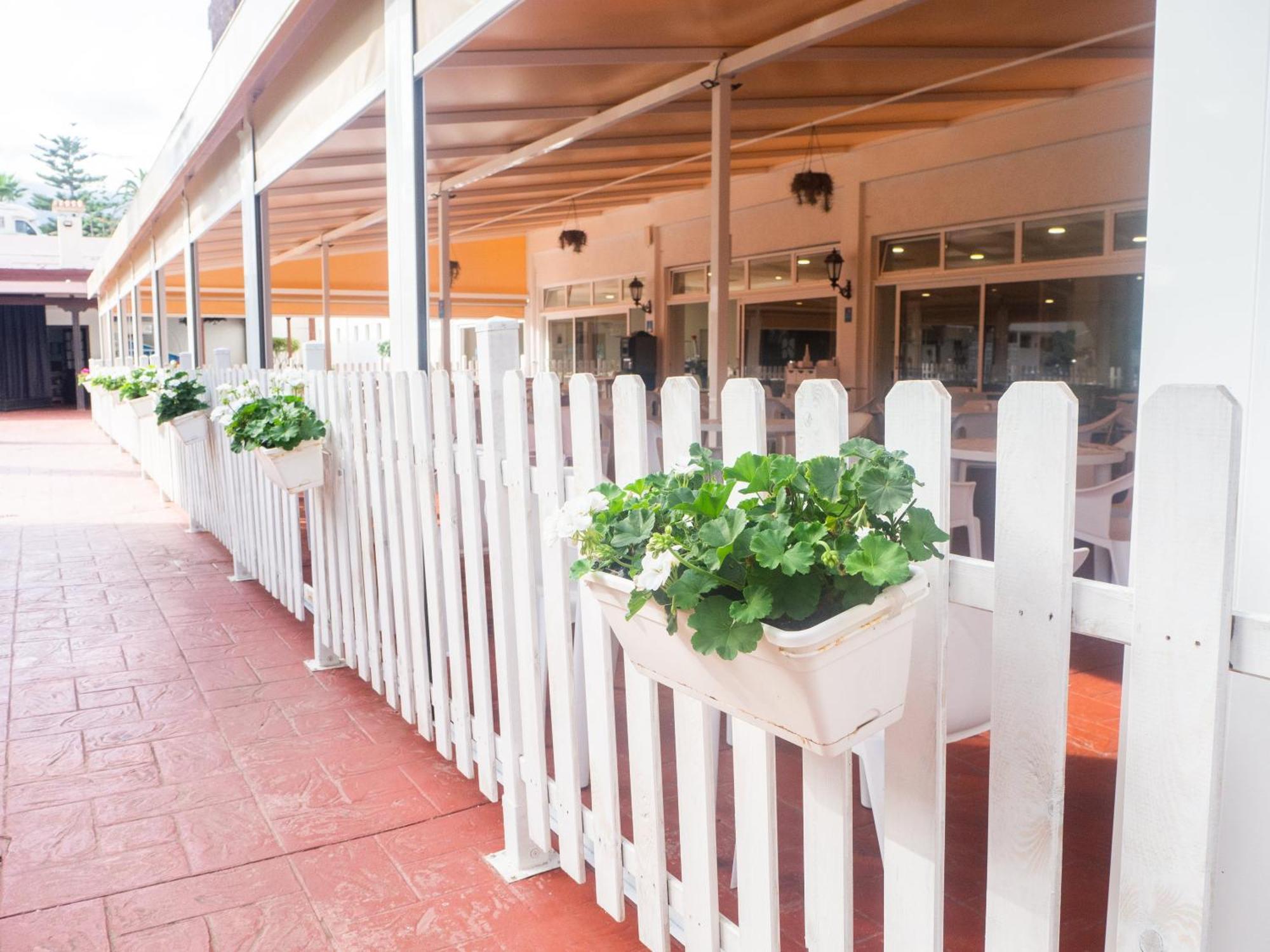Complejo Bluesea Puerto Resort Compuesto Por Hotel Canarife Y Bonanza Palace Πουέρτο Ντε Λα Κρουζ Εξωτερικό φωτογραφία